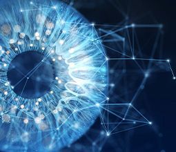 ホワイトペーパー