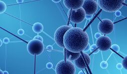 ホワイトペーパー