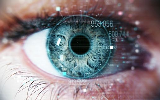 機械学習を使ってロイヤルティ詐欺を特定することはできるのか